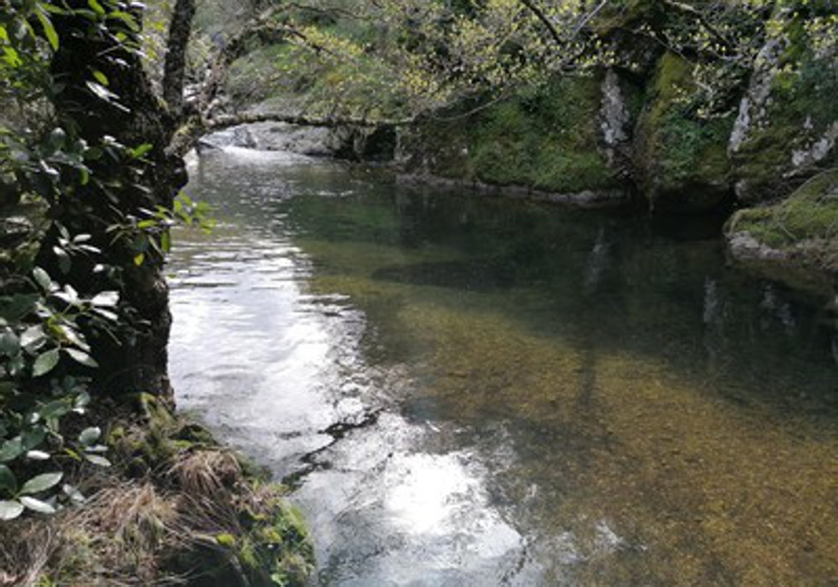 Charco del Sapo