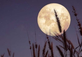 El tiempo en Huelva: cielos despejados para admirar la luna llena de este jueves
