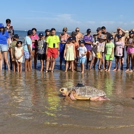 Donatello, este jueves, adentrándose de nuevo en el mar con un emisor satelital instalado