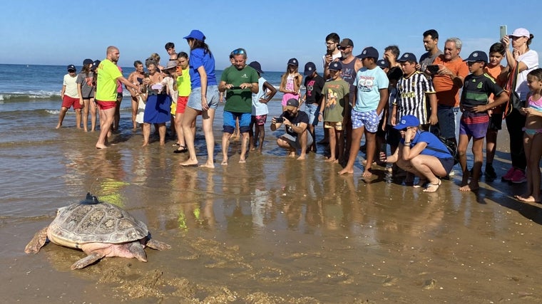 Donatello, este pasado jueves, regresando al mar