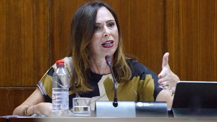 La consejera de Fomento, Articulación del Territorio y Vivienda, Rocío Díaz, en Comisión parlamentaria
