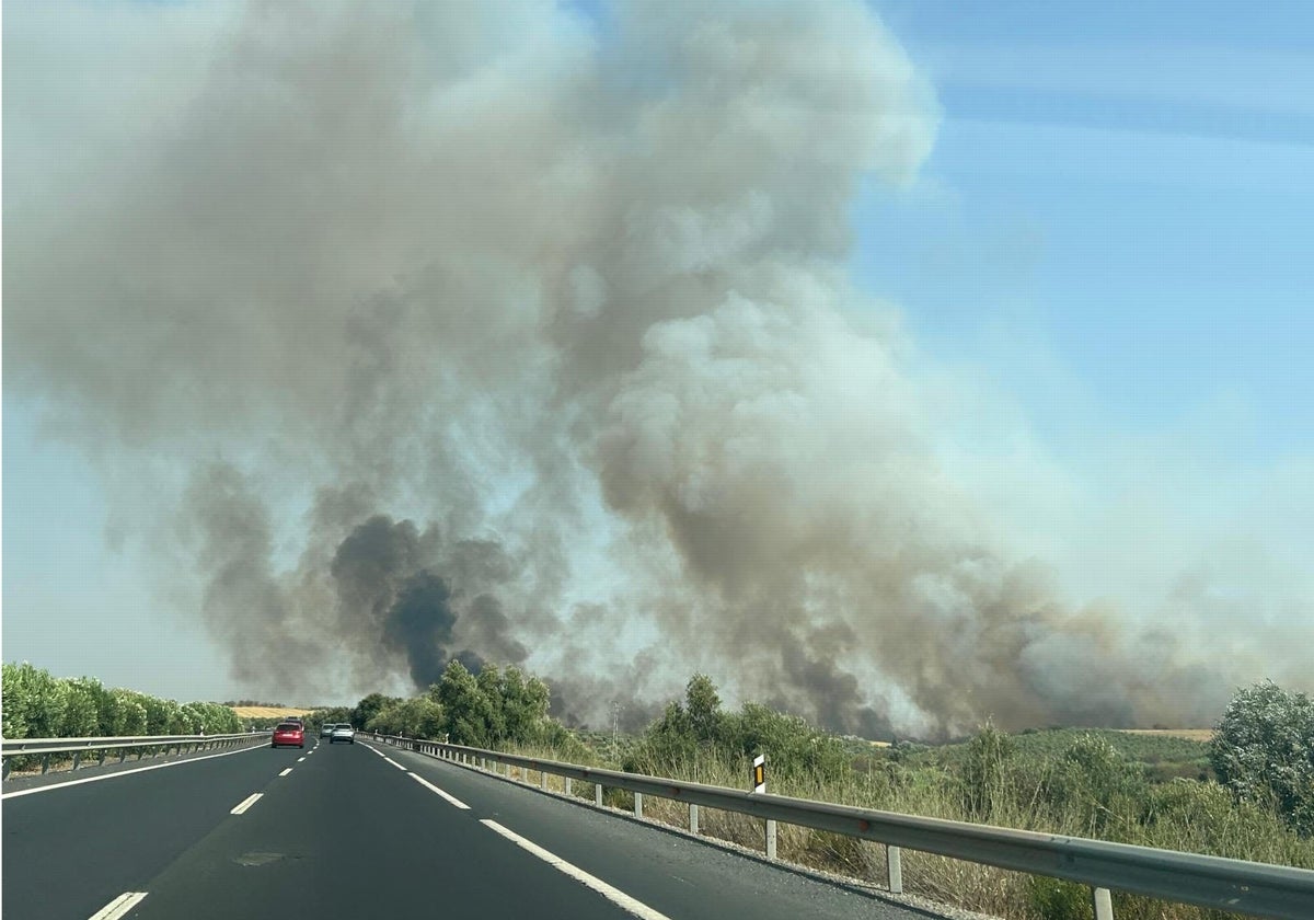Vista del incendio en Bonares desde la A-49