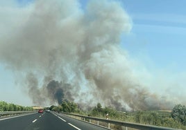 Un incendio en Bonares, con afección a la A-49, obliga activar la fase 1 de emergencias