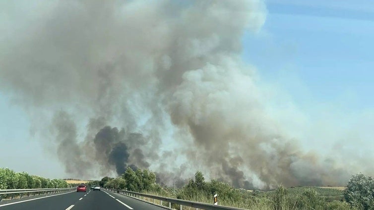 Declaran zonas catastróficas los terrenos afectados por los incendios de Bonares y Jabugo
