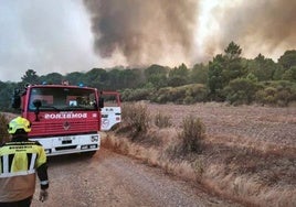 El Condado de Huelva registra el mayor número de incendios hasta agosto