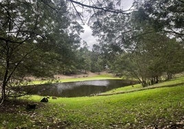 Se inician las obras de restauración ecológica e hidrológica de la finca Los Mimbrales en Doñana