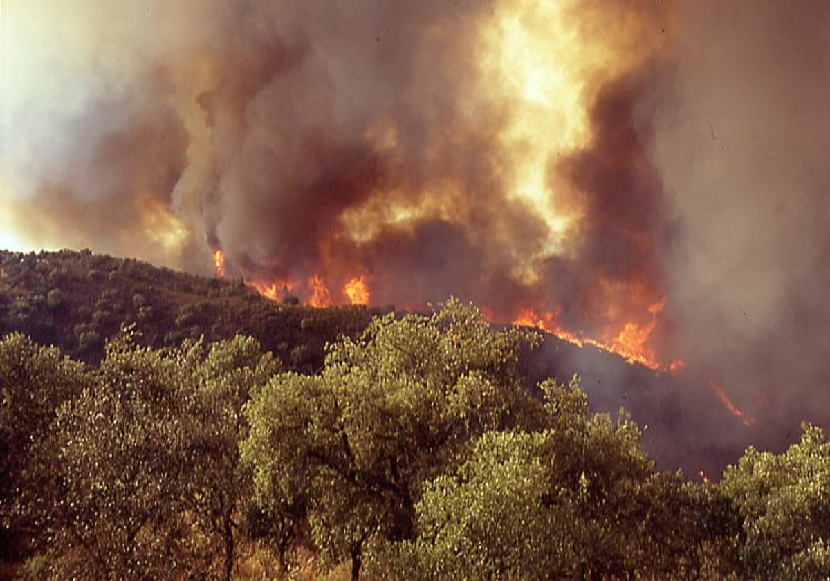 El incendio de 2004 cuando cercaba la localidad de Berrocal