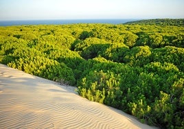 El increíble lugar de la provincia de Huelva que ha sido incluido como una de las siete maravillas naturales de España