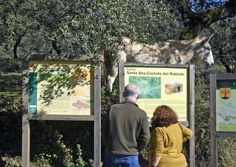 Imagen secundaria 1 - Sendero de chorros de Joyarancón
