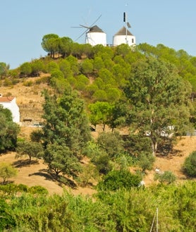 Imagen secundaria 2 - Sanlucar del Guadiana