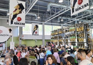 De la feria del jamón a la de la castaña: las rutas gastronómicas de la Sierra de Huelva que no te puedes perder este otoño