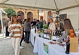 Vinos y tapas en La Palma: 17 bodegas españolas muestran sus creaciones este fin de semana