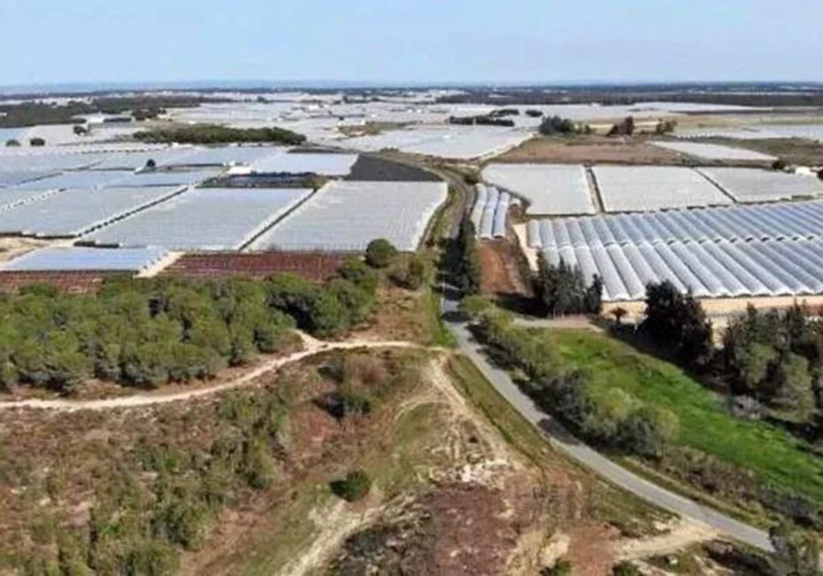 Explotación agrícola en el entorno de Doñana