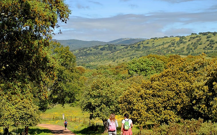 Imagen principal - Senderistas por la Sierra de Aracena, cascada en Santa Ana la Real y libro abierto en mitad de la naturaleza.