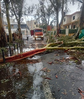 Imagen secundaria 2 - Consecuencias del temporal a su paso por la provincia