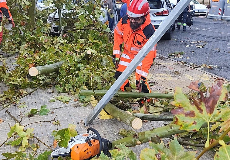 Imagen principal - Bomberos retirando ramas y árboles dañados por el temporal en Isla Cristina