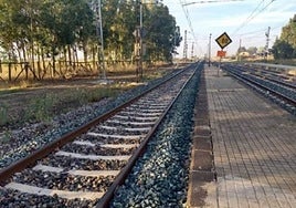 Vuelve a funcionar el tren entre  Gibraleón y Calañas tras la retirada de un árbol caído sobre la vía