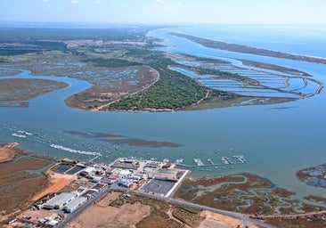Así se dragará el puerto del Terrón: un método probado en Lisboa que respeta el ecosistema del río Piedras