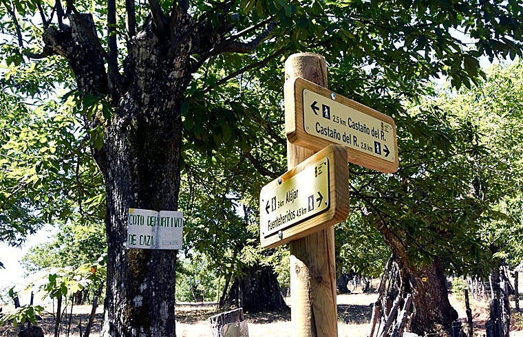 Llega la Feria de la Castaña que se celebra en una iglesia inacabada, a los pies de los riscos más altos de Huelva