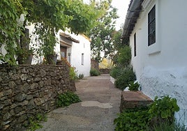La pequeña aldea de Huelva que parece un pueblo de Galicia: sólo tiene una calle, casas encantadoras y está rodeado de bosques