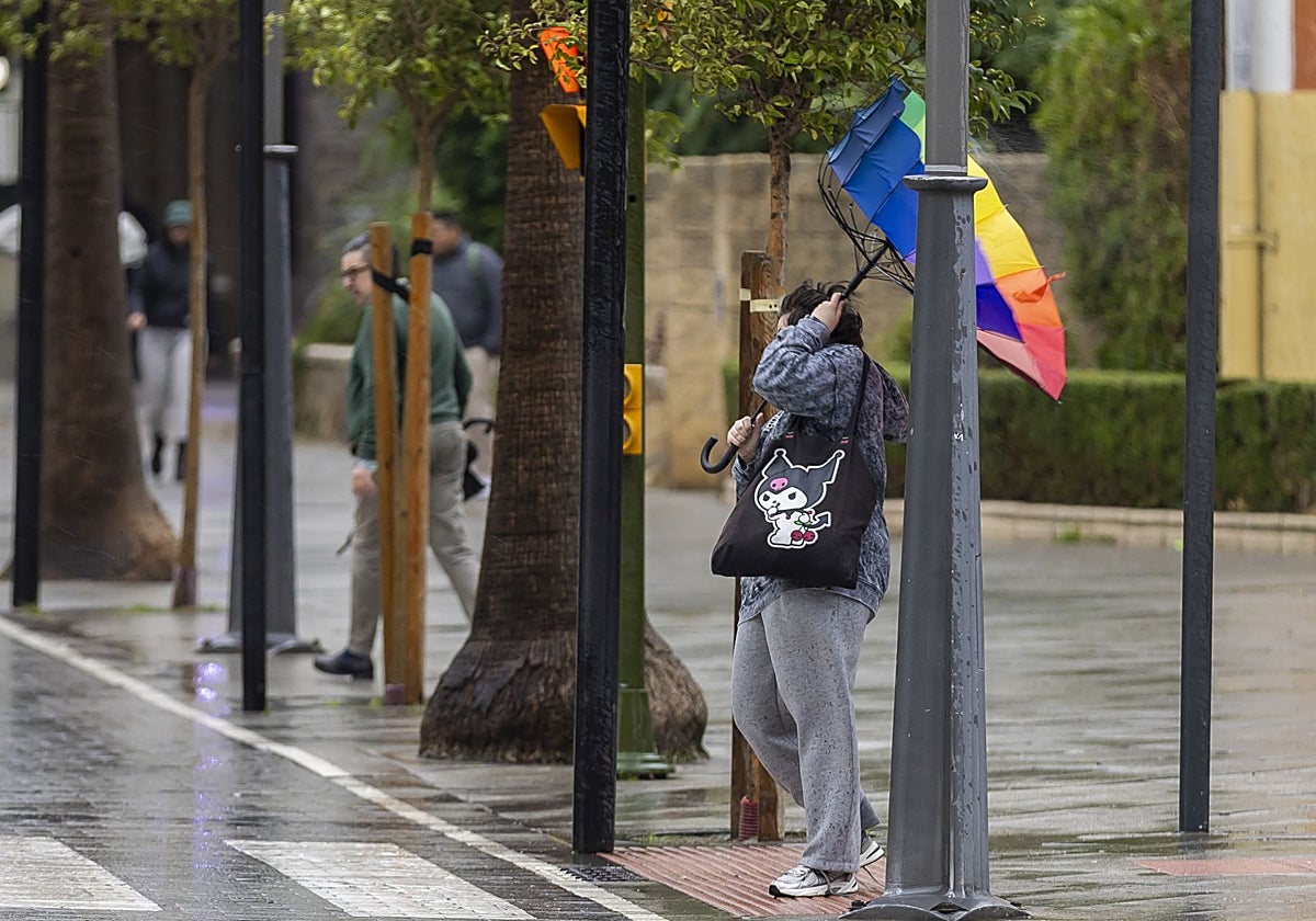 Las rachas de viento ocasionaron múltiples incidencias este viernes en Huelva