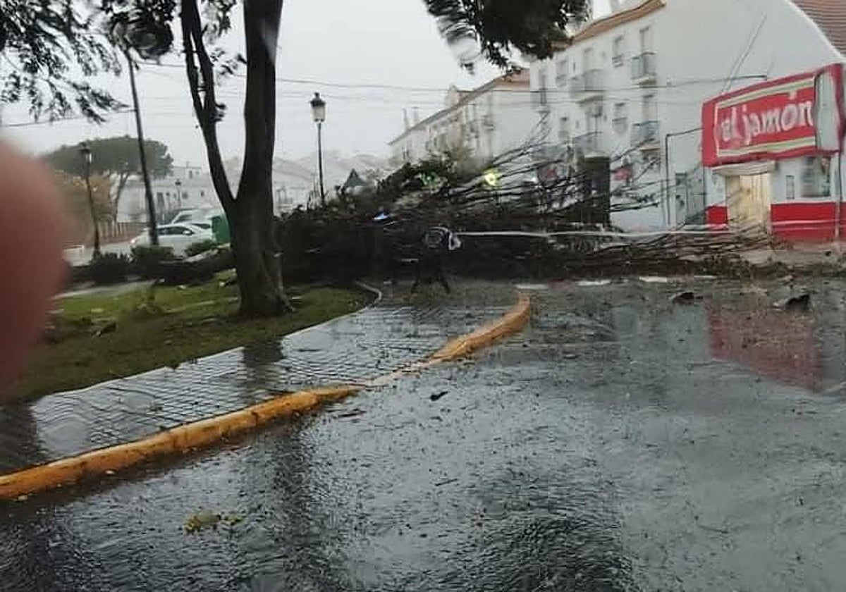 La borrasca Claudia causó este pasado fin de semana varios incidentes en Cartaya
