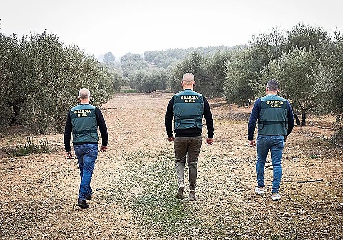 Los alcaldes de varios municipios del Condado de Huelva han solicitado refuerzos para la seguridad rural