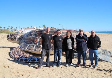 Aparece una misteriosa tortuga gigante en la playa de Islantilla
