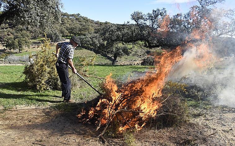 Imagen principal - Matanza casera
