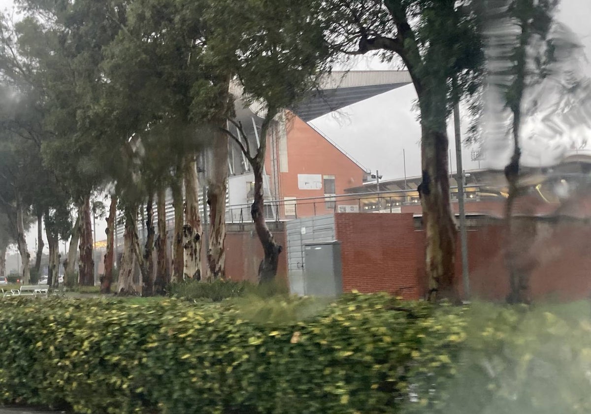 Estadio Nuevo Colombino, esta tarde