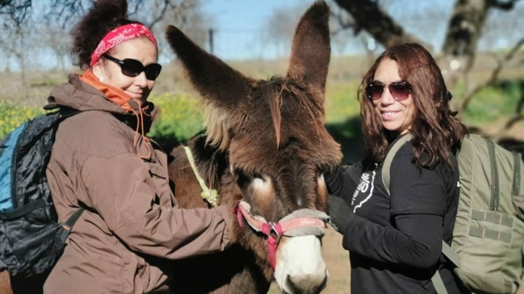 La burrita Alaska, acariciada por sus dos compañeras de camino jacobeo