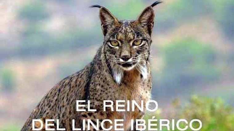 El reino del lince ibérico