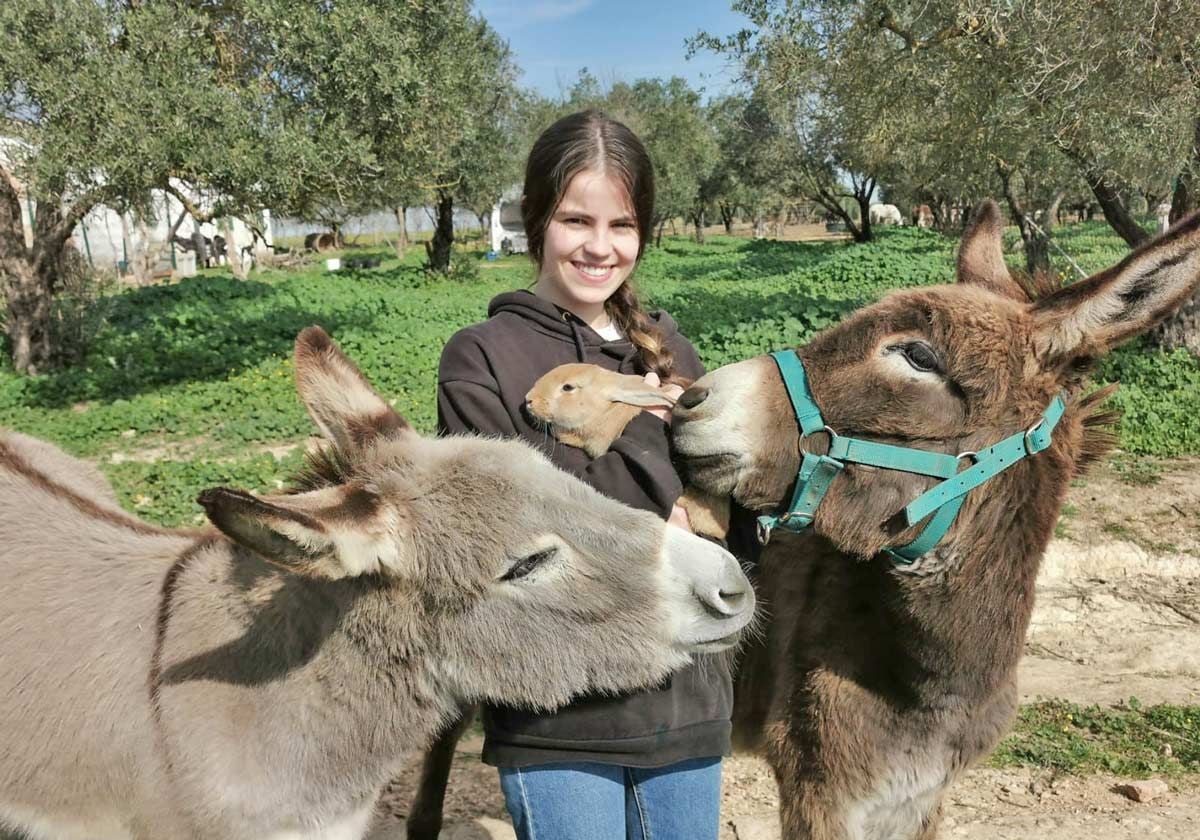 Dos asnos en la finca de El Burrito Feliz en Chucena