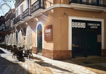 El runrún: Otra puñalada para Burro Canaglia