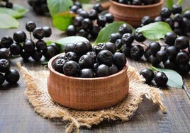 Qué es la Aronia negra, el desconocido fruto que retrasa el envejecimiento y ayuda a prevenir enfermedades neurodegenerativas