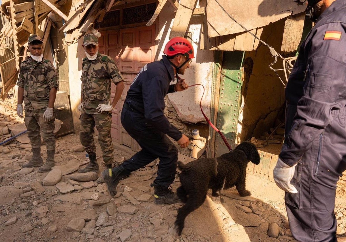 Efectivo del contigente de Bomberos Unidos Sin Fronteras desplazado a Marruecos junto a uno de los perros de rescate