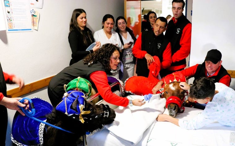 Imagen principal - Los caballitos Enrique, Pekitas y Antoñita, vestidos de pajes, han alegrado la mañana a los menores enfermos