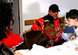 Caballitos vestidos de paje recogen las cartas para los Reyes Magos en el Hospital Juan Ramón Jiménez