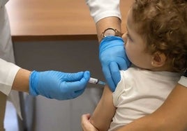 El Colegio de Médicos alerta del pico de gripe que se prevé en enero y recomienda la vacunación en niños menores de cinco años