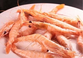 ¿Sabes diferenciar la gamba blanca de Huelva de otro tipo de gambas?