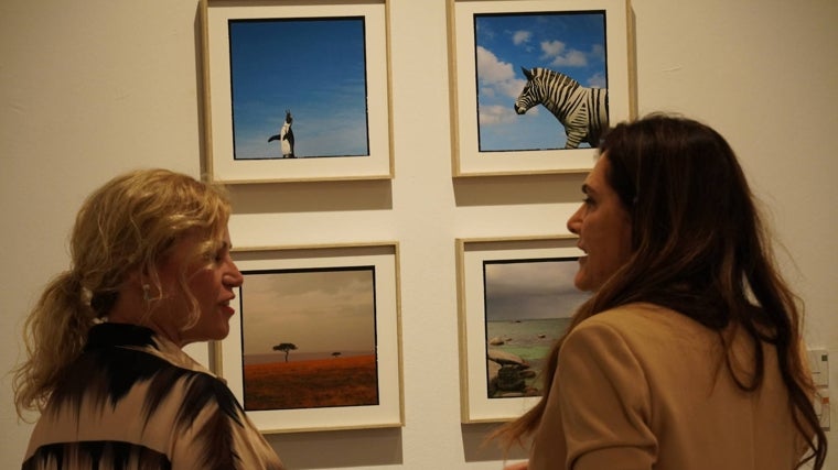 La muestra presenta 28 obras que pueden contemplarse en la Sala de la Provincia