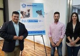 La plaza Pérez Pastor de Punta Umbría acoge el I Encuentro solidario de animales en adopción de Diputación