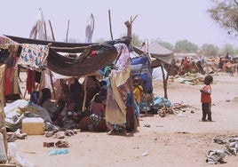 La Diputación aprueba una ayuda de emergencia a la población refugiada sudanesa en el Chad en colaboración con Acnur