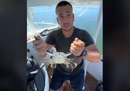 Un pescador de Huelva alerta de una plaga: «Esto hay que pescarlo y sacarlo como sea»