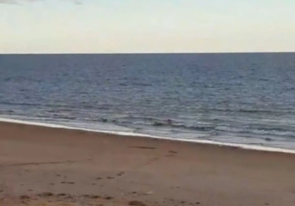 Un Pescador Va A La Playa De Mazag N Y No Da Cr Dito A Lo Que Encontr