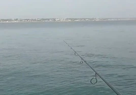 Un pescador se encuentra esto en el Espigón de Huelva