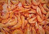 Ni gambas ni langostinos: Mercadona lanza un descuento de uno de sus mariscos más vendidos