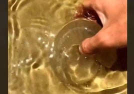 Un sanitario advierte: si te encuentras esto en una playa de Huelva ni se te ocurra cogerlo