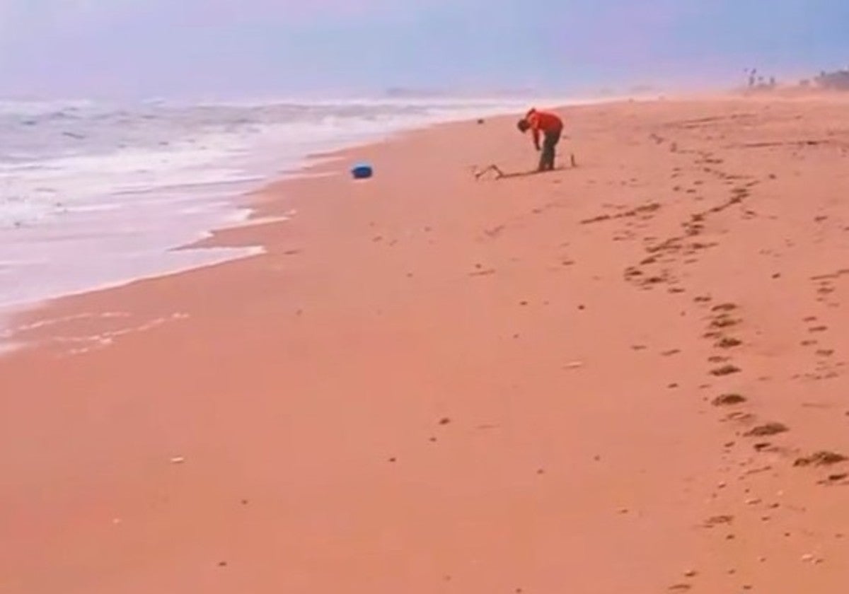 Estaba paseando por la Playa de La Antilla y se quedó sin palabras al ver lo que encontró en la arena