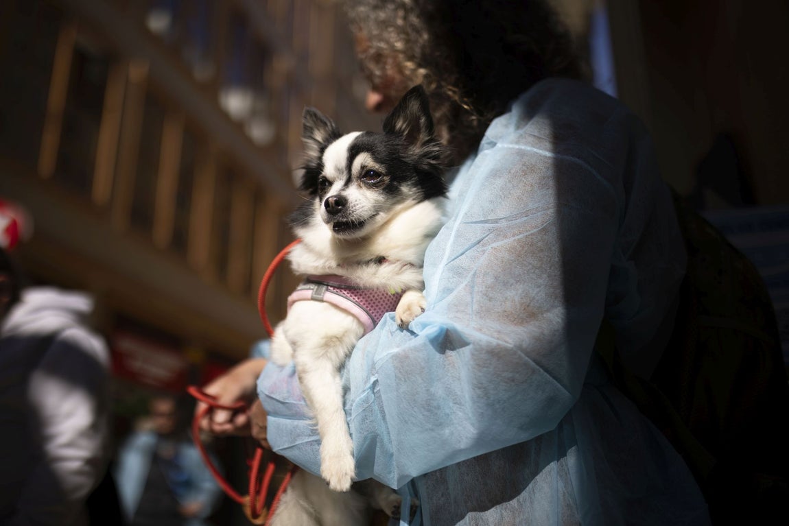 Los Veterinarios de Huelva se manifiesta en contra de la Ley de Medicamentos